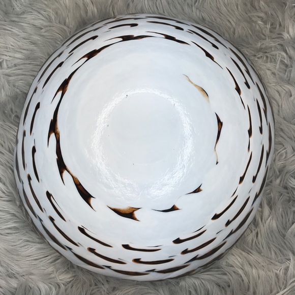 RARE Murano Glass Shell Bowl Handmade in Italy - Picture 4 of 8